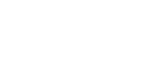92.9 The Bull logo