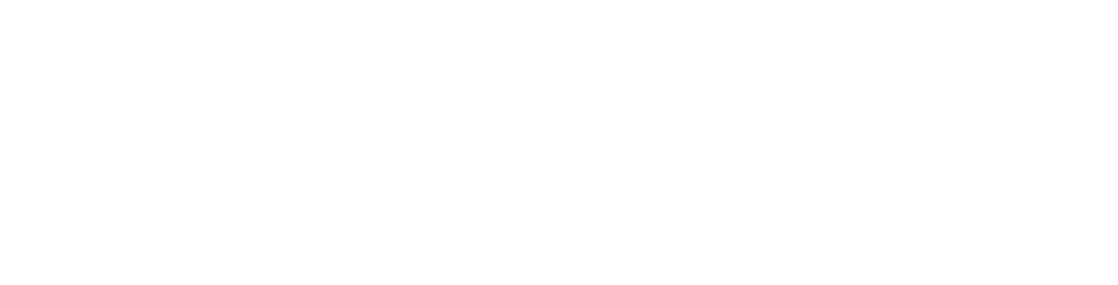TSN logo